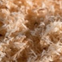 Dried wood shavings biomass