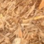 Dried biomass wood chips and sawdust