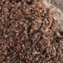Finely dried biomass wood particles