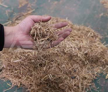 Rice straw drying system using pneumatic flash dryer technology