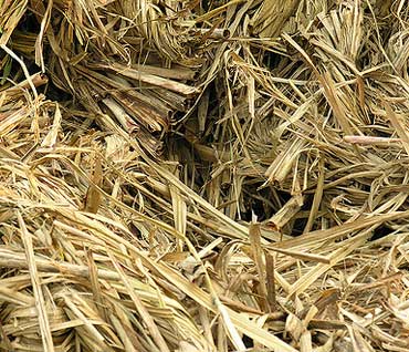 RFD rotary flash dryer with high efficiency cyclone separator system